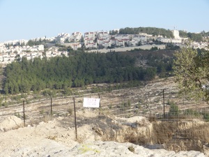 131106 Al Walaja  Bethlehem Omar's land with settlement beyond A.Morganjpg